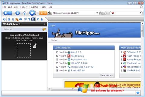 Ekran görüntüsü Flock Windows 7
