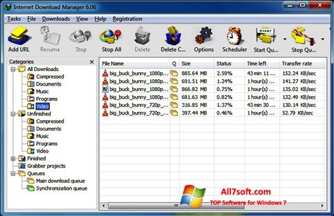 Ekran görüntüsü Internet Download Manager Windows 7