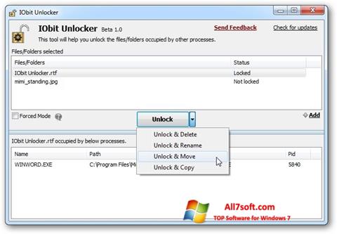 Ekran görüntüsü IObit Unlocker Windows 7