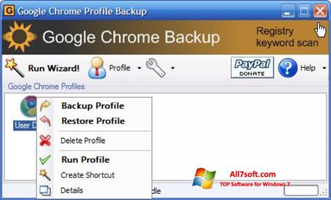 Ekran görüntüsü Google Chrome Backup Windows 7