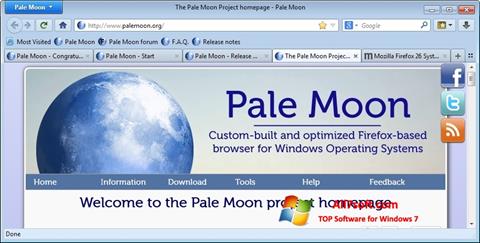Ekran görüntüsü Pale Moon Windows 7